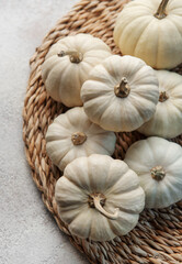 Thanksgiving or harvest flatlay with pumpkins on grey concrete background.