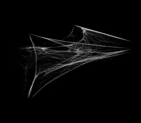 White spiderweb on on black grunge background, cobweb scary frames. Royalty high-quality free stock photo image of Real creepy spider webs silhouette isolated on Spooky Halloween backgrounds - Powered by Adobe