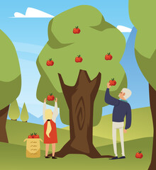Grandpa and girl harvesting apples in garden flat cartoon vector illustration.