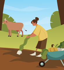 Woman harvests from the beds in farm fields, flat cartoon vector illustration.