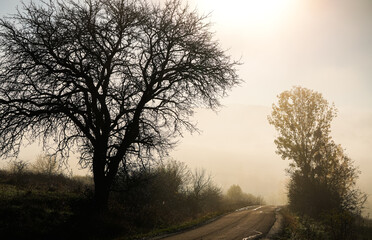 Fototapeta na wymiar Country side road during an autumn morning with fog rising up. Foggy road landscape in Transylvania, Romania.