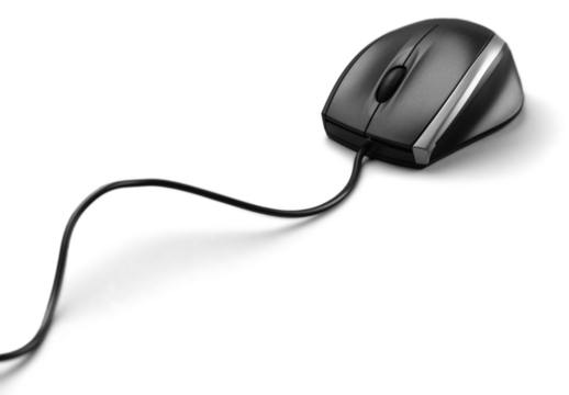 Computer Mouse