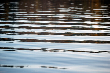 reflection in water , värmdö, sweden, sverige