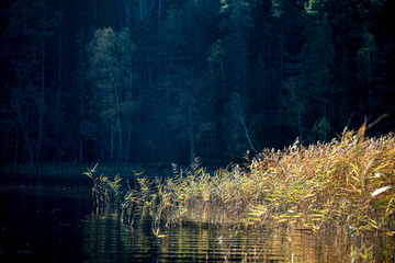background with water , värmdö, sweden, sverige