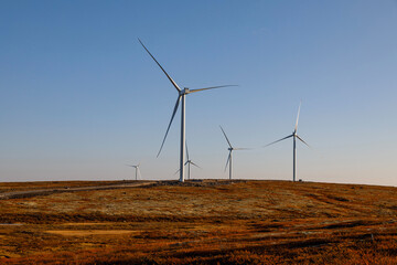 Panoramic view of a wind farm or wind farm with large wind turbines to generate electricity with copy space at sunset