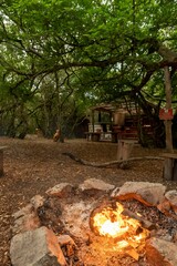Forest camping place with the bonfire view, vertical