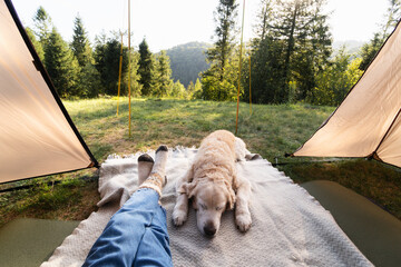 Festive socks on legs and a cute golden retriever dog on a carpet in tent. Spending time in the...