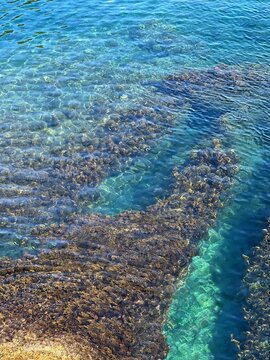 Sea turquoise blue clear water.