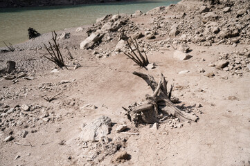 Dry ground with cut trees nearby the river