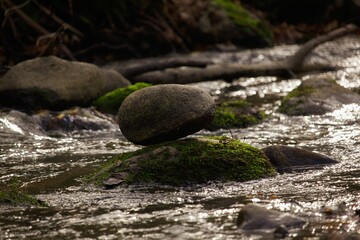 Shallow focus shot of mossy rocks in the river
