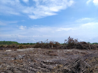 cleared the land. Clear Blue Sky Background. landscape