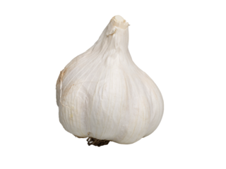 Close up of garlic