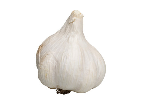 Close up of garlic