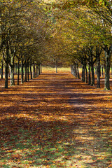 Naklejka premium St Cloud domain is going to sleep