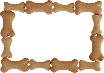 Dog biscuits frame  for background use