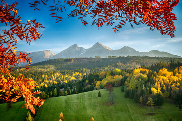 Beautiful autumn landscape in the mountains
