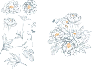 Foto auf Acrylglas Hand drawn plant and peony flower collection. Vintage engraved flower and bouquet set. Vector illustration © Gureva Natalia