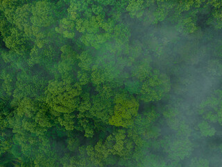 Aerial view of beautiful forest mountain landscape