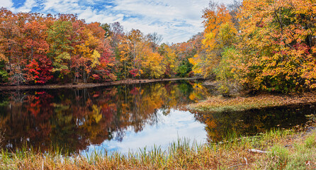 Allaire Autumn