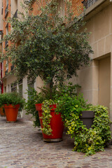 pots in front of house