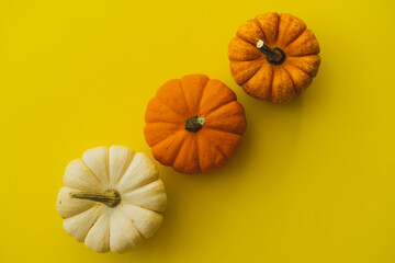 Three small pumpkins in a line on a yellow background, top view