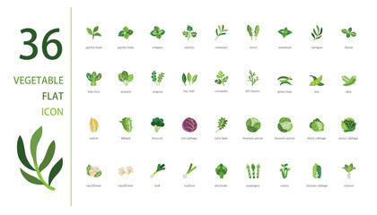 Vector vegetables icon set. Includes Brassica oleracea and other icons. - obrazy, fototapety, plakaty