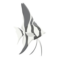 Angle Fish PNG Format With Transparent Background