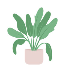 Large sized plant for living room semi flat color vector object. Editable element. Full sized item on white. Decor simple cartoon style illustration for web graphic design and animation