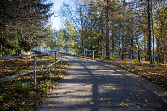 Path In Autumn Park, Vantaa Tikkurila