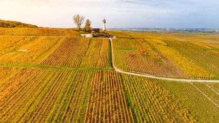 Cercles muraux Couleur miel Phare de Verzenay et les vignes de Champagne à l'automne. Photo aérienne.