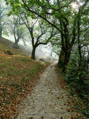 Fototapeta premium paesaggi sul lago d'iseo