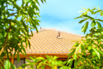 沖縄の家