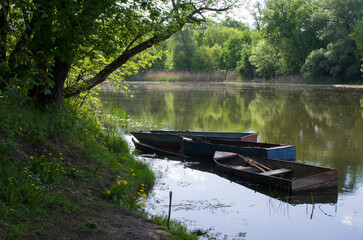 Boats under a tree on the pier. Peaceful landscape.