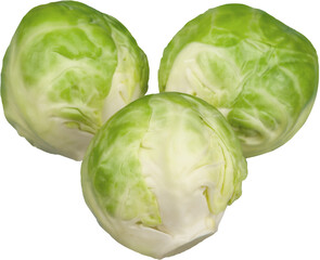 Fototapeta premium Ripe fresh cabbage on white background
