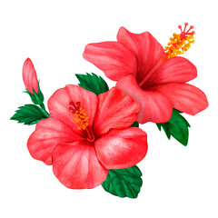 Floral red hibiscus design hand drawn watercolor. Perfect for card, postcard, tags, invitation, printing, wrapping, wedding. Designer element, isolated white background © Arsenova