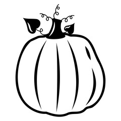 Autumn vegetable pumpkin, black outline, vector isolated illustration in doodle style