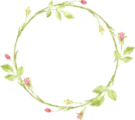 watercolor pink english rose wreath frame