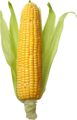 Fotobehang Shucked ear of corn - isolated image © BillionPhotos.com