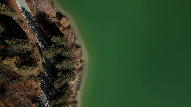Lake Predil or Raibler See is a green mountain lake near Tarvisio, Austria and Slovenia in Julian alps. In the valley of pine trees in the fall. 