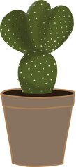 mini cactus in a pot