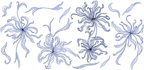 Hand drawn flowers and leaves. Abstract line art.
