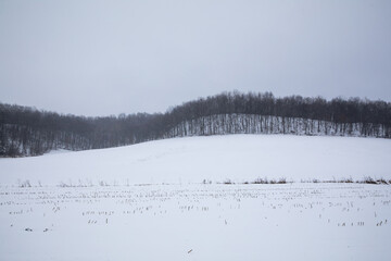 Wooded hills and fields covered in snow in winter in Amish country, Ohio