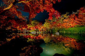 Autumn leaves in Kyoto