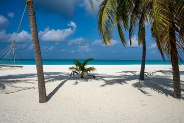 Beautiful white sandy beach with palm trees and a hammock for a wonderful vacation