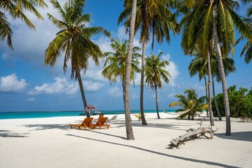 White beach with palm trees, chairs and a hammock for tourism and vacation