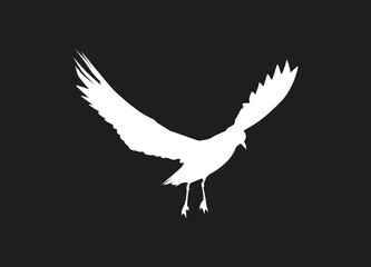 Flying bird of white silhouettes isolated on black background. Fit for logo, symbol, banner, bakcground, tattoo, apparel. Bird element vector. Eps 10