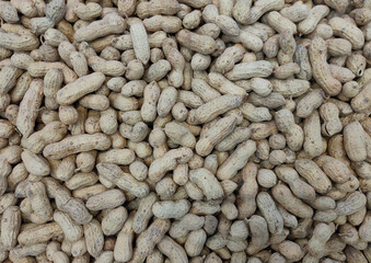 a lot of unpeeled peanuts on the market counter