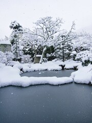 京都　積雪した大原実光院の庭園