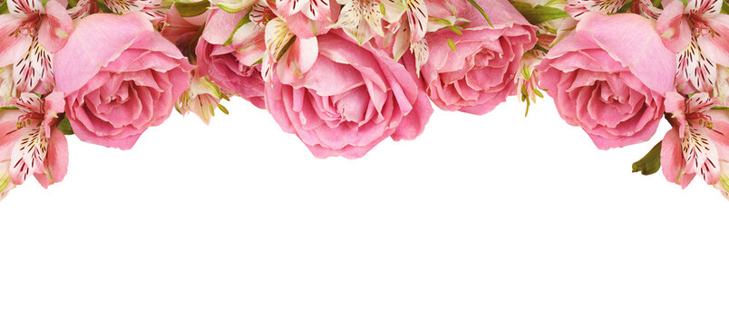 Beautiful pink rose and alstroemeria flowers in a top and bottom borders isolated on white