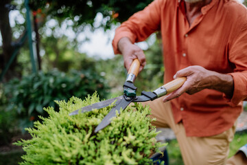 Senior man trimming bushes in his garden. - Powered by Adobe